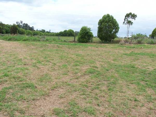 NOT A MISPRINT Picture 3