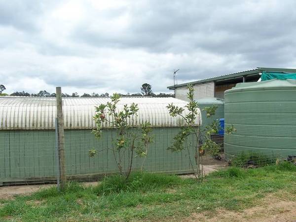 NOT A MISPRINT Picture 2