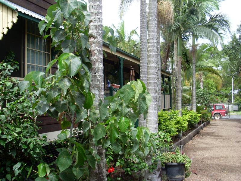 WITH BAY BREEZES. Picture 2