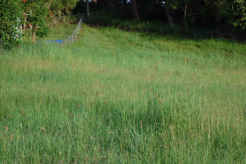 Development Opportunity Picture 3