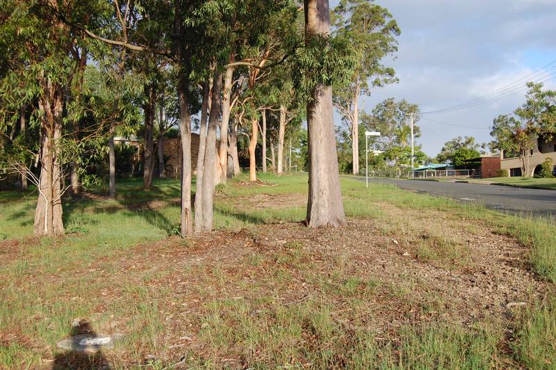 DEVELOPMENT OPPORTUNITY Picture 1