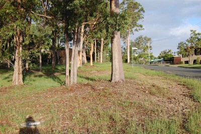 DEVELOPMENT OPPORTUNITY Picture