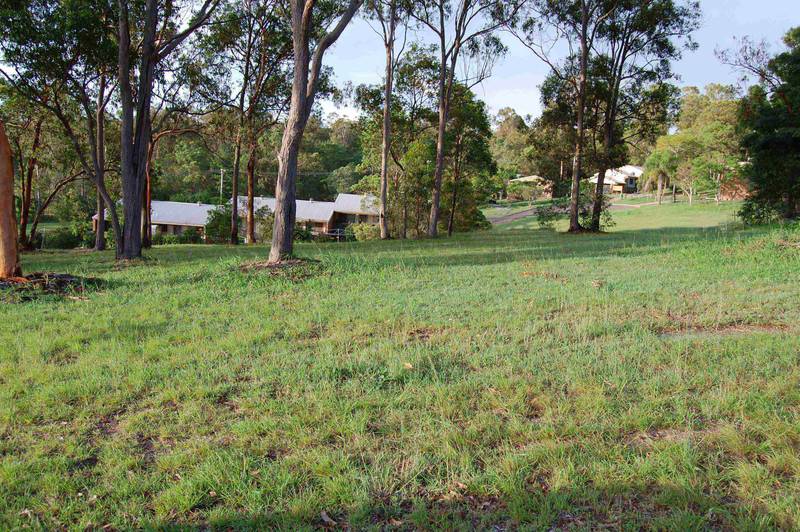 Dirt Cheap Dirt Picture 1