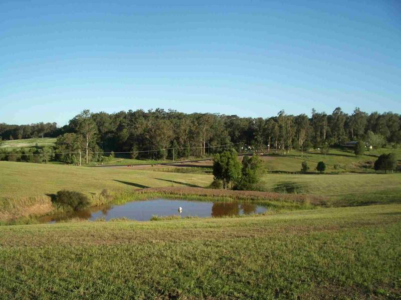 New Release - Quality Eastside Acreage Picture 3