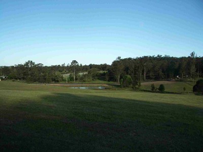 New Release Taylor Park Estate Picture