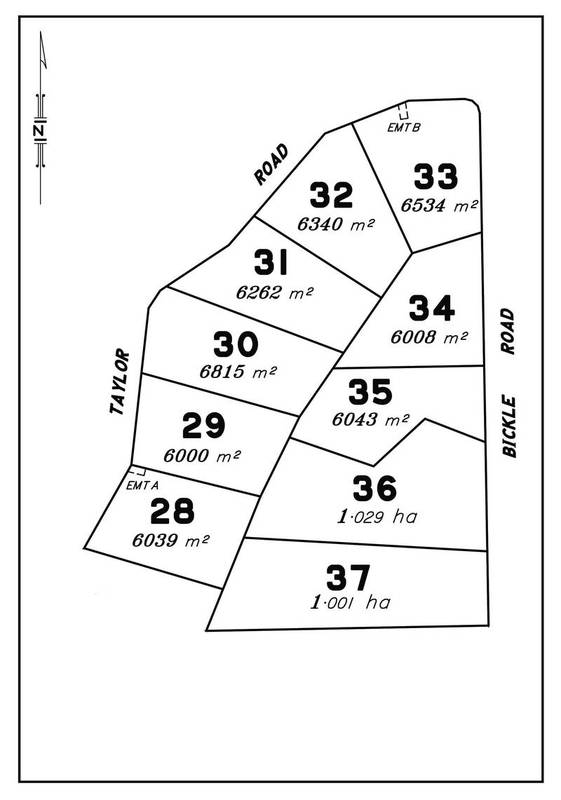 Taylor Park Estate - Lot 36 - Quality Eastside Acreage Picture 2