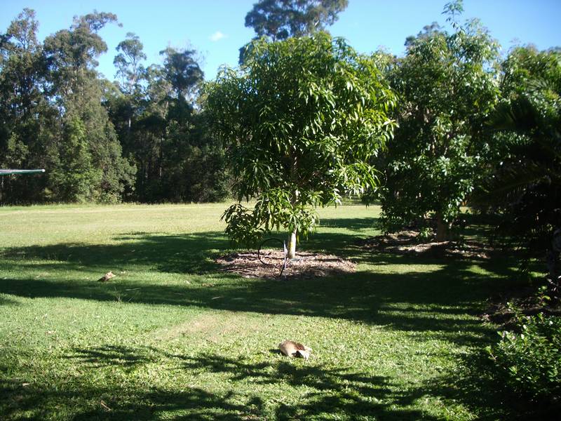 The Ultimate Hideaway Picture 2