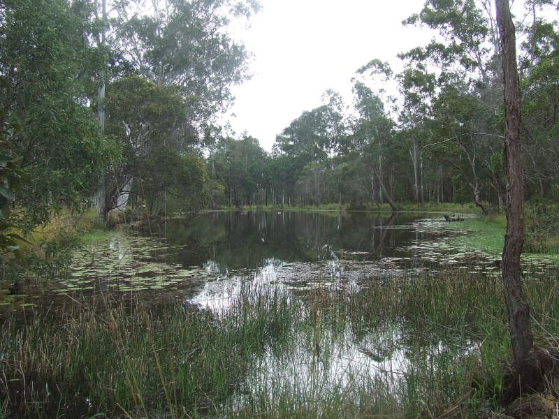 Peace and Quiet Escape the hustle & Bustle Picture 2