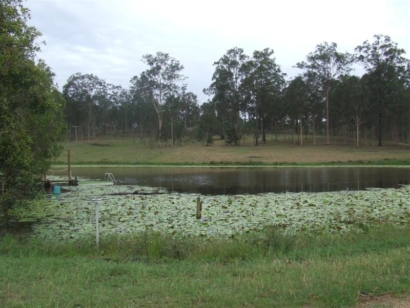 Rural 40 Acres Picture 2