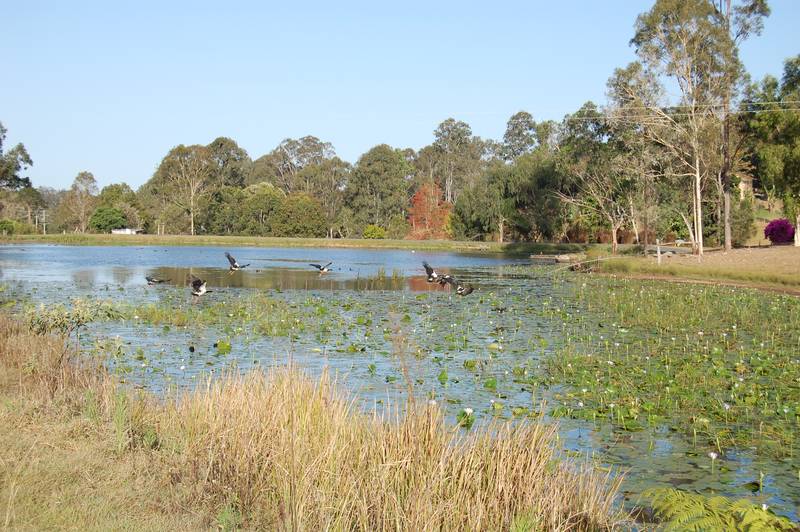 Relaxing Acreage Living!!! Picture 2