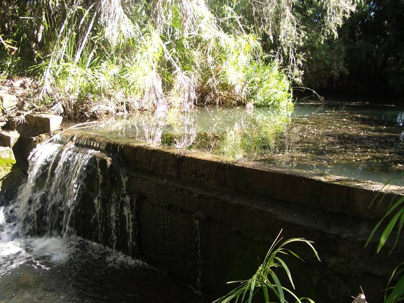 URGENT- MUST BE SOLD Picture 3