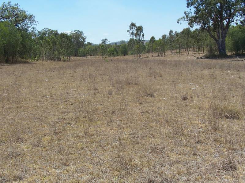 Cattle Country Picture 2