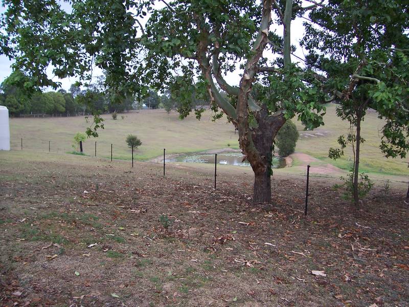 4 BEDROOM HOME ON ACREAGE Picture 2