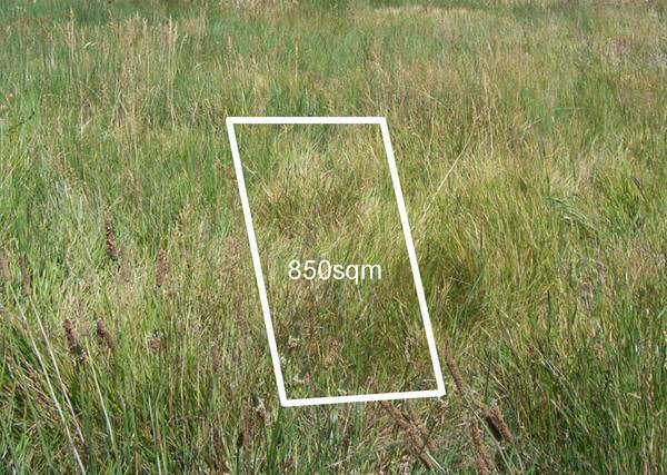 850sqm - Last One! Picture 1