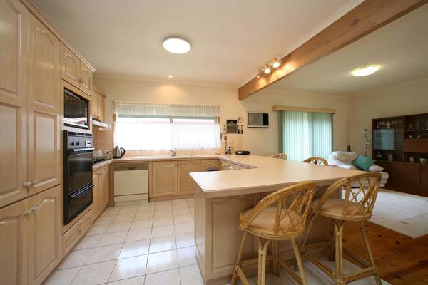 A Lucky Find Picture 3