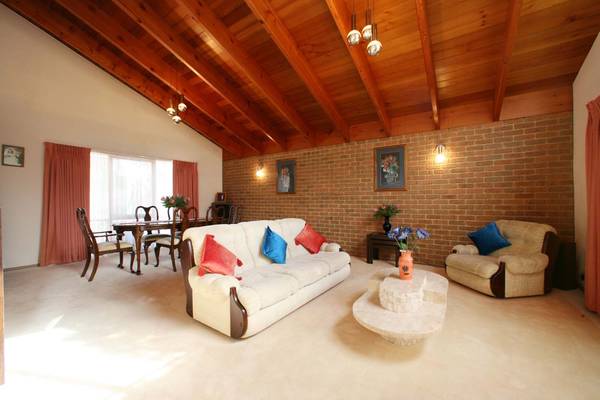 A Lucky Find Picture 2