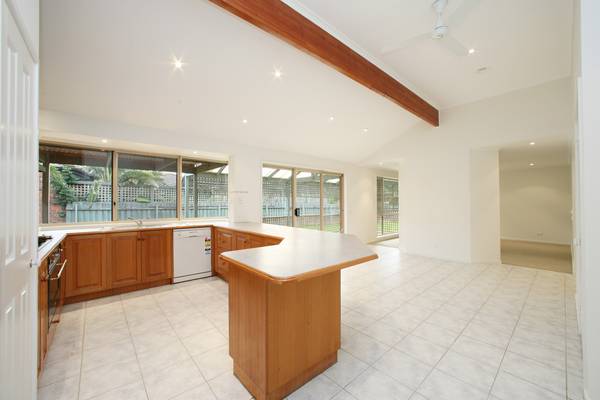 Ease The Squeeze Picture 2