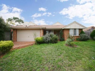 Ease The Squeeze Picture Ease The Squeeze Picture