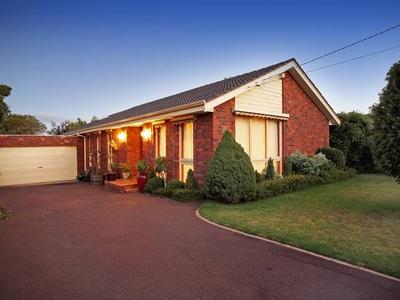 Just Beautiful Picture