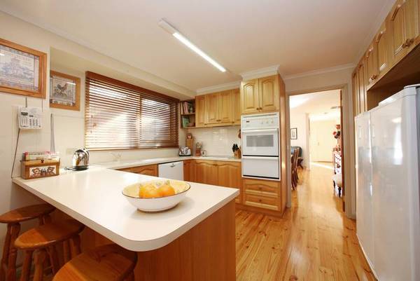 Not All Treasure is Buried Picture 2