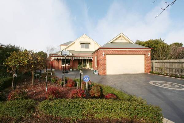 Their Pride, Your Joy! Picture 1