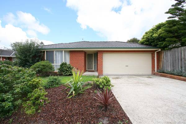 Light Filled and Lovely Picture 1