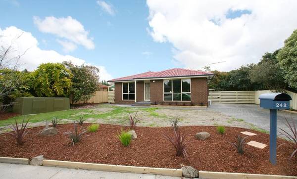 Renovated and Relaxed Picture 1