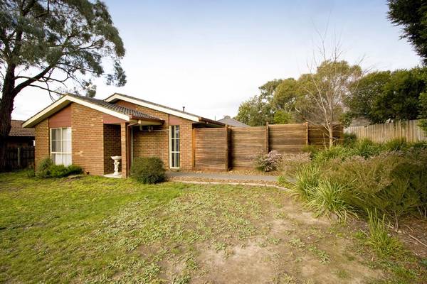 The Designer Look! Picture 1