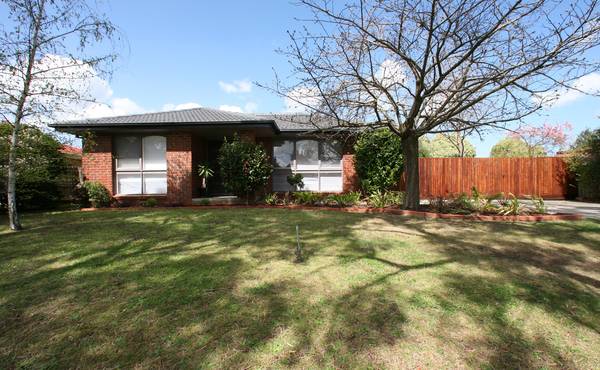 Alive with Light and Decor Picture 1