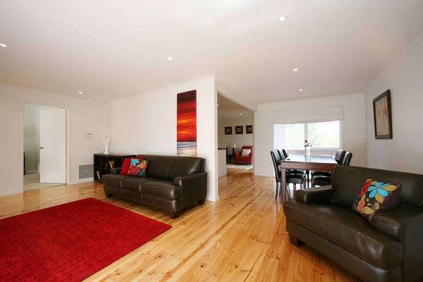 Alive with Light and Decor Picture 3