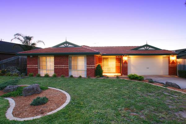 Only One Look Will Do Picture 1