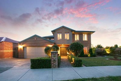 Sovereign Crest Splendor Picture