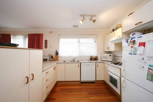 Surprise Package Picture 2