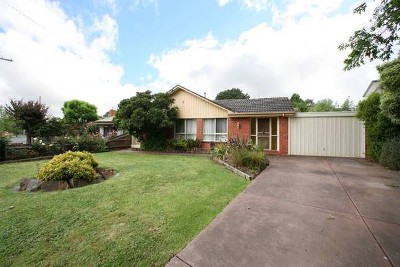 Surprise Package Picture Surprise Package Picture