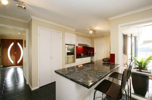 You'll Have a Ball! Picture You'll Have a Ball! Picture