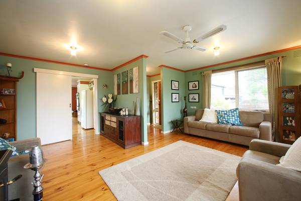 One Look Will Do Picture One Look Will Do Picture