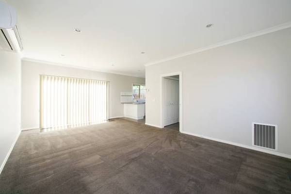 Pick of the Bunch Picture 3