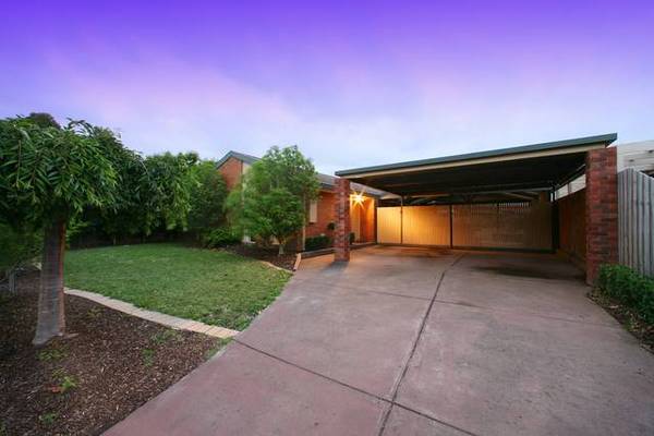 All Dressed Up Inside Picture All Dressed Up Inside Picture