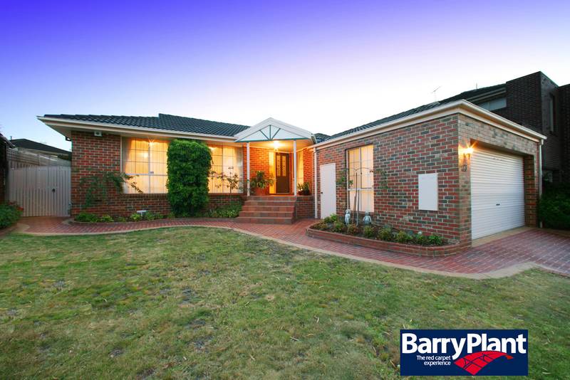 The Pleasure Will be All Yours Picture 1