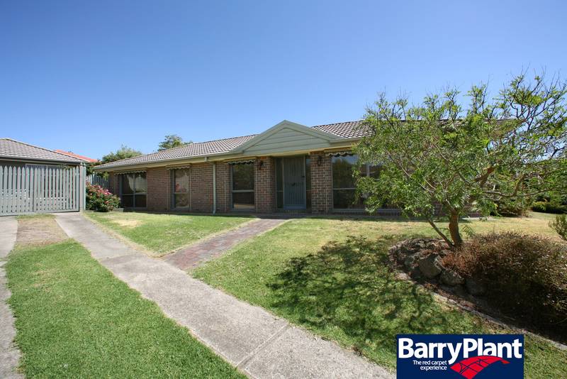 Love at First Sight Picture 1