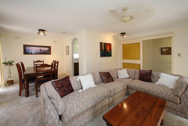 A Lucky Find Picture 3