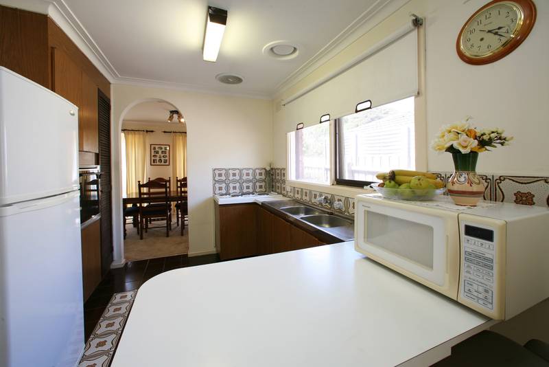 A Lucky Find Picture 2