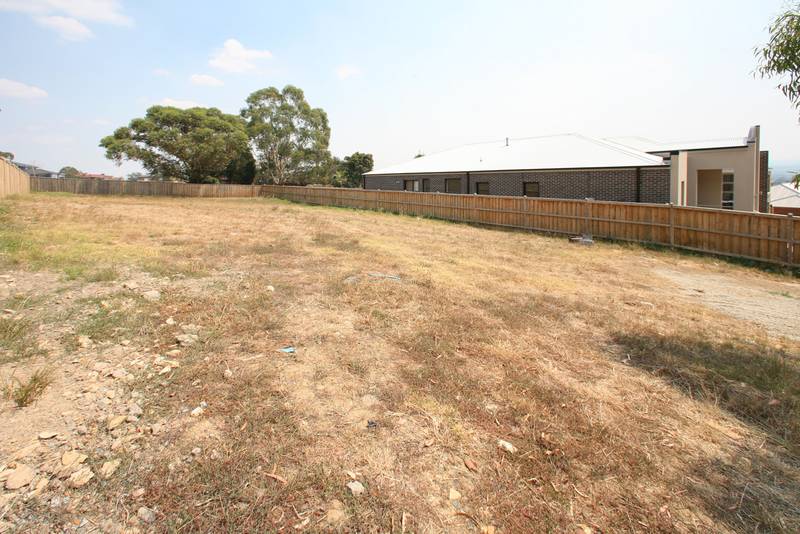 Endangered Species Picture 2