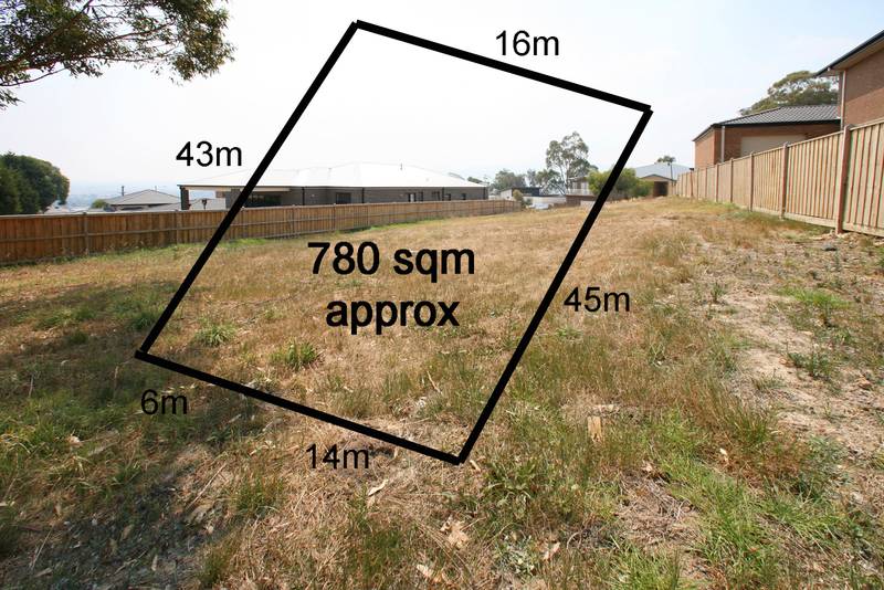 Endangered Species Picture 1