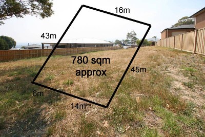 Endangered Species Picture Endangered Species Picture