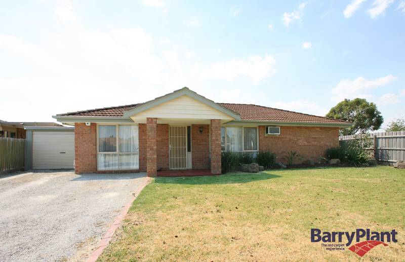 Take a Look at This Picture 1