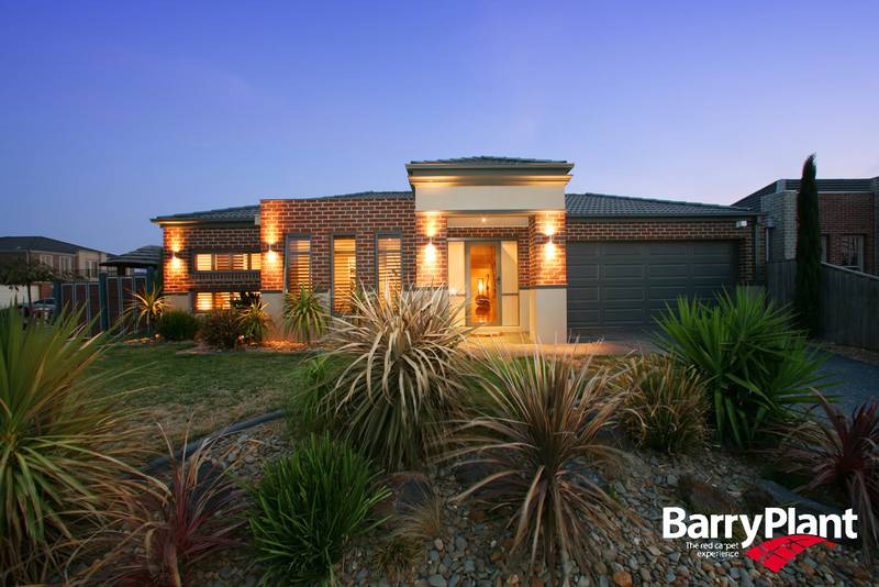 Something Special Picture 1