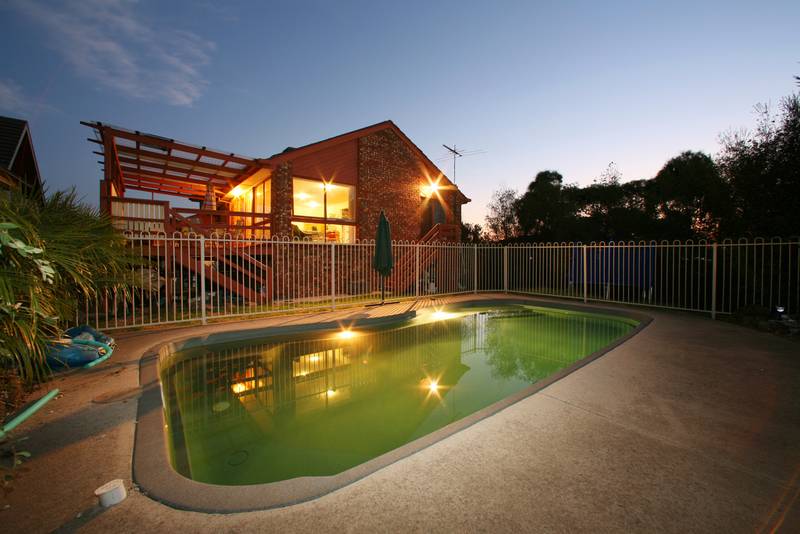 Too Good to be True Picture 3