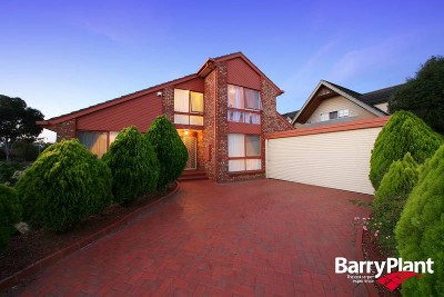 Too Good to be True Picture Too Good to be True Picture