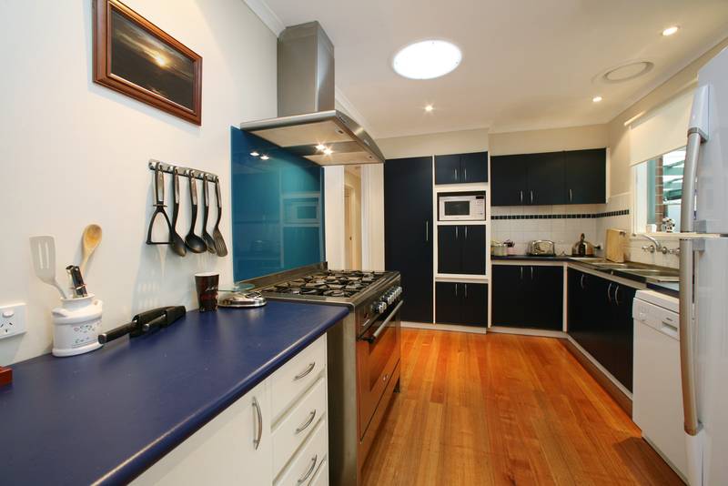 A Lucky Find Picture 2